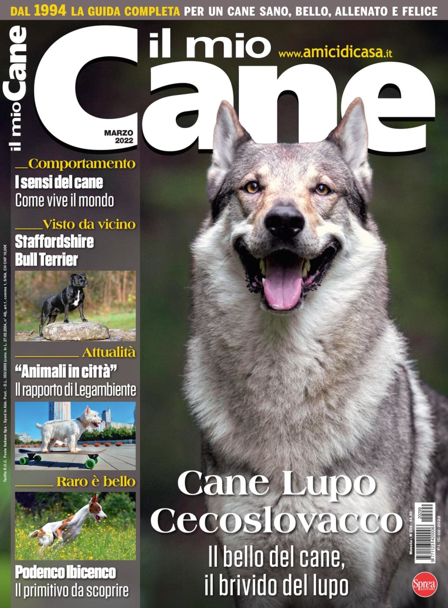 Copertina Il Mio Cane n.299