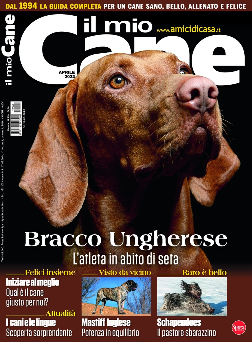 Copertina Il Mio Cane n.300