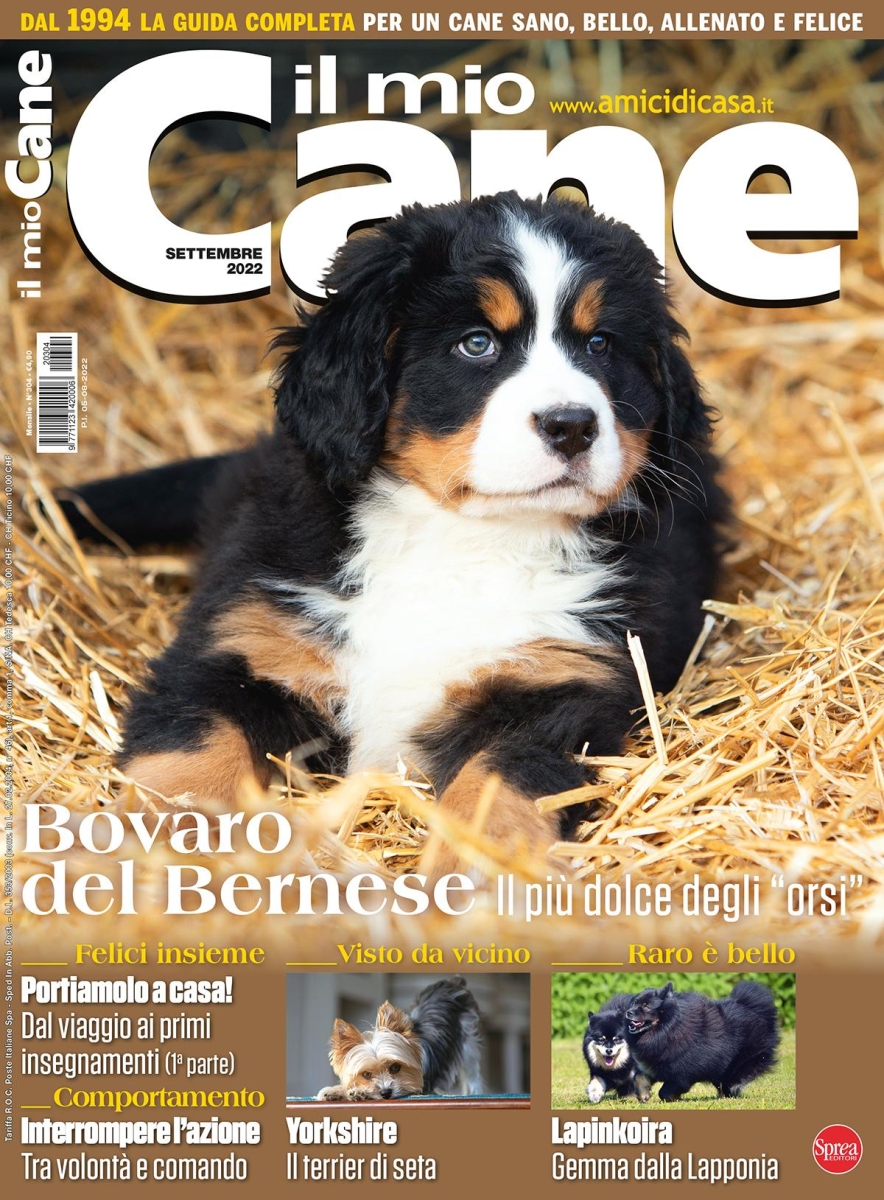 Copertina Il Mio Cane n.304