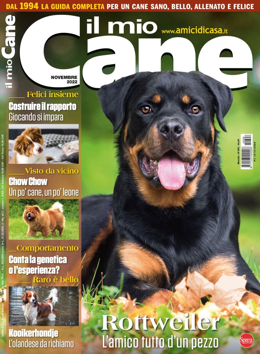 Copertina Il Mio Cane n.306