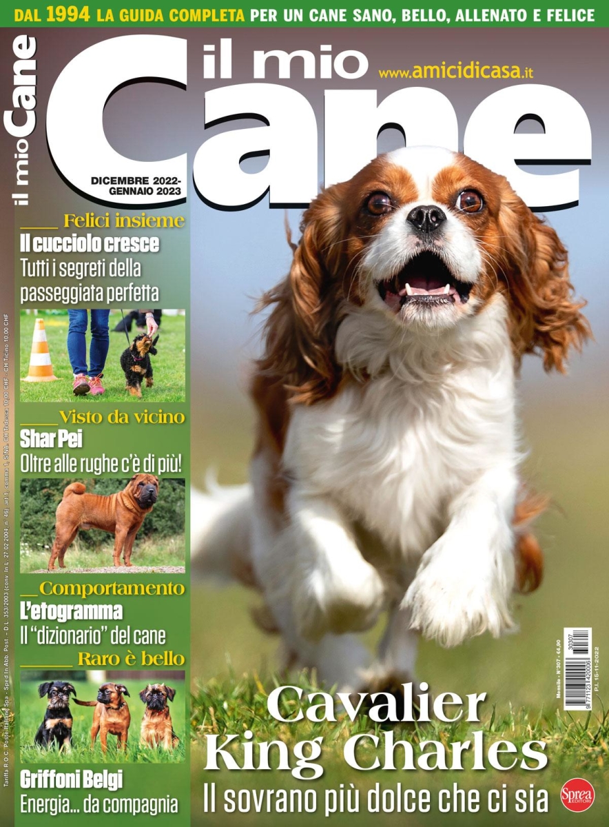 Copertina Il Mio Cane n.307