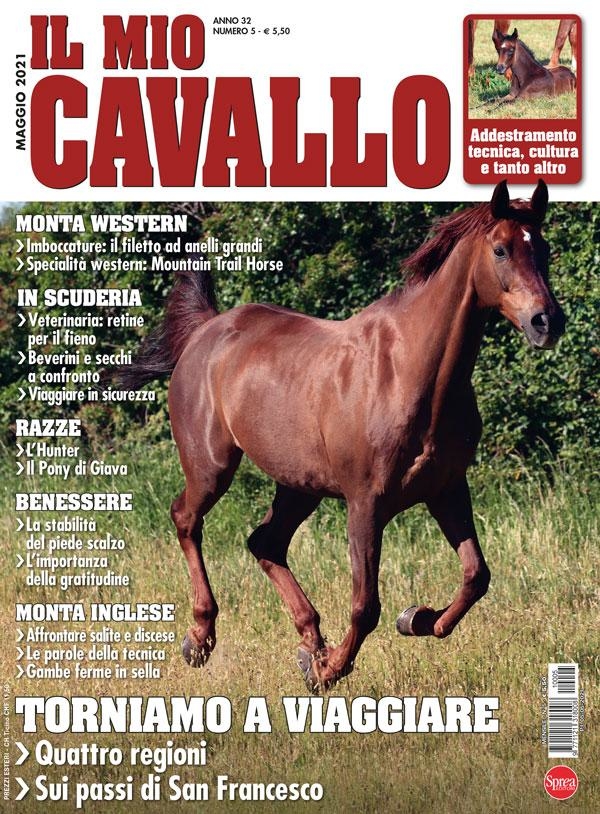 Copertina Il Mio Cavallo n.5