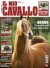Il Mio Cavallo n.6