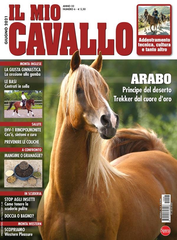 Copertina Il Mio Cavallo n.6