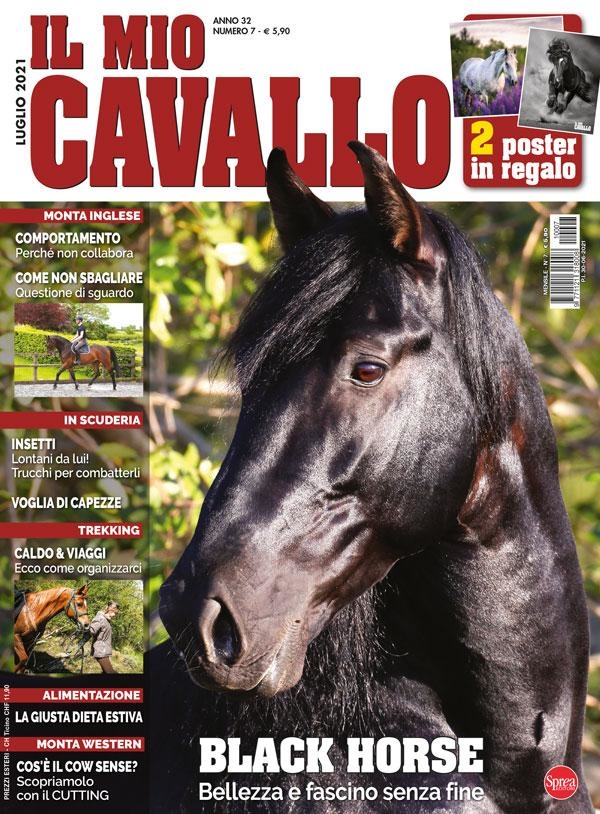 Copertina Il Mio Cavallo n.7