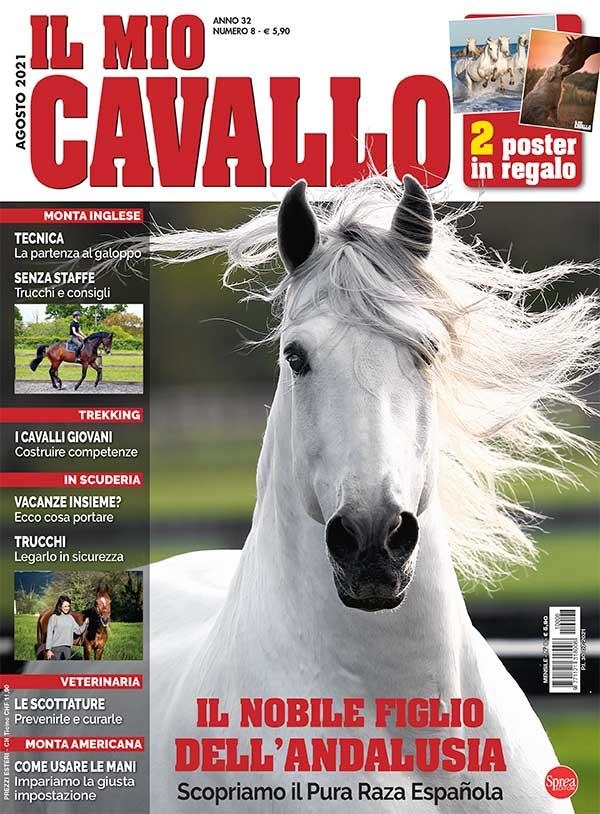 Copertina Il Mio Cavallo n.8