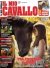 Il Mio Cavallo n.9