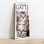 Copertina Gatto Magazine Compiega/Gatti n.11