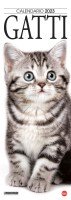 Copertina rivista Gatto Magazine Compiega/Gatti