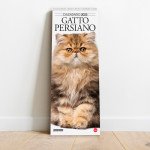 Copertina Gatto Magazine Compiega/Persiano n.10
