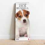 Copertina Argos Compiega/Jack Russell n.5