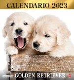 Copertina Il Mio Cane Compiega/Golden Retriever n.11