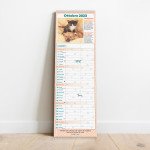 Copertina Calendario - Agenda/Cani e Gatti n.2