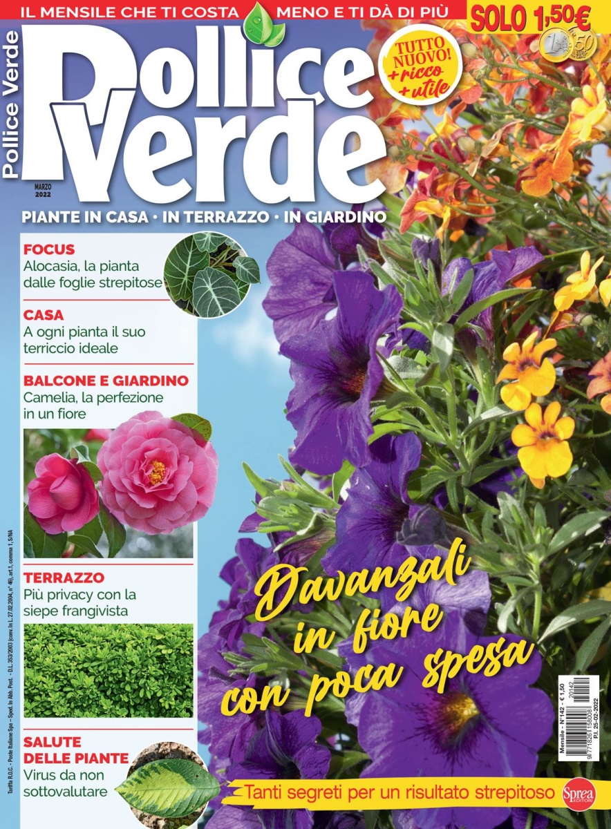 Copertina Pollice Verde n.142