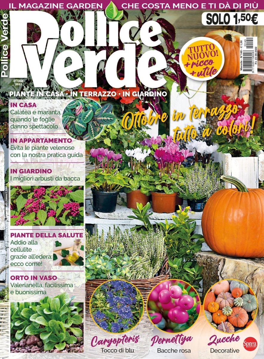 Copertina Pollice Verde n.149