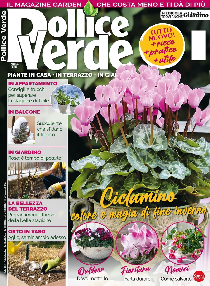 Copertina Pollice Verde n.151