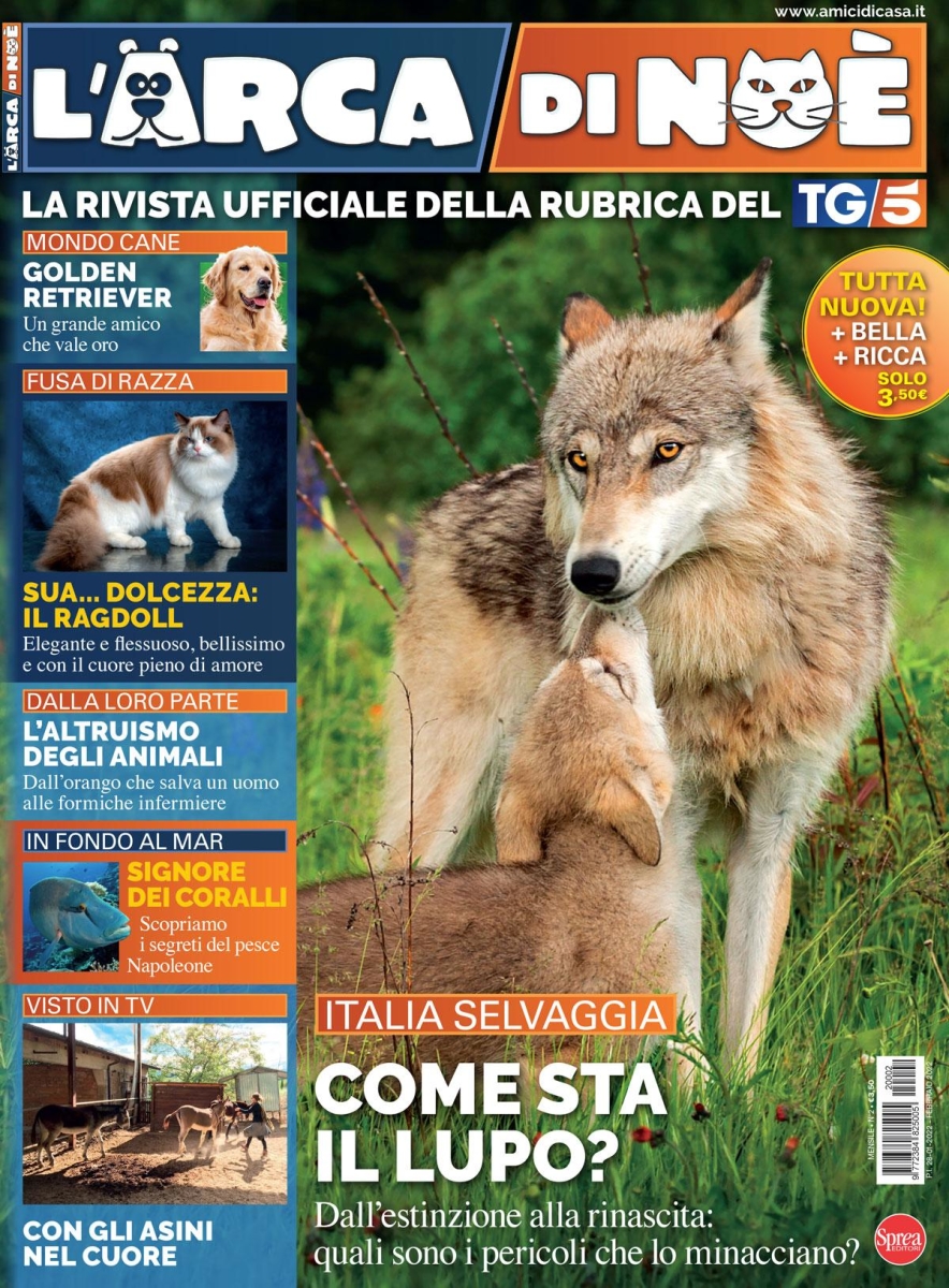 Copertina L Arca di Noe n.2