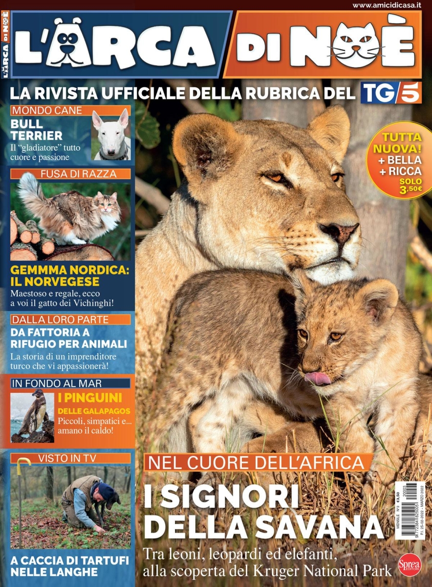 Copertina L Arca di Noe n.3