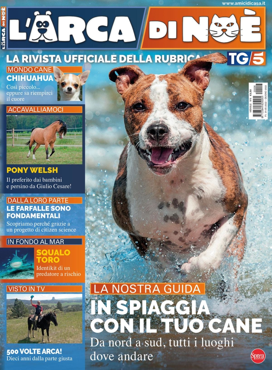 Copertina L Arca di Noe n.6