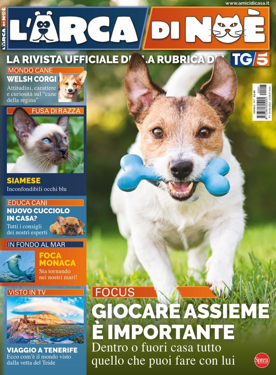 Copertina L Arca di Noe n.7