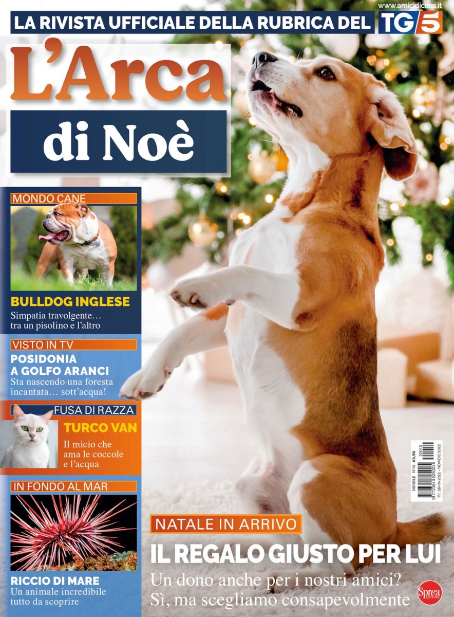 Copertina L Arca di Noe n.10