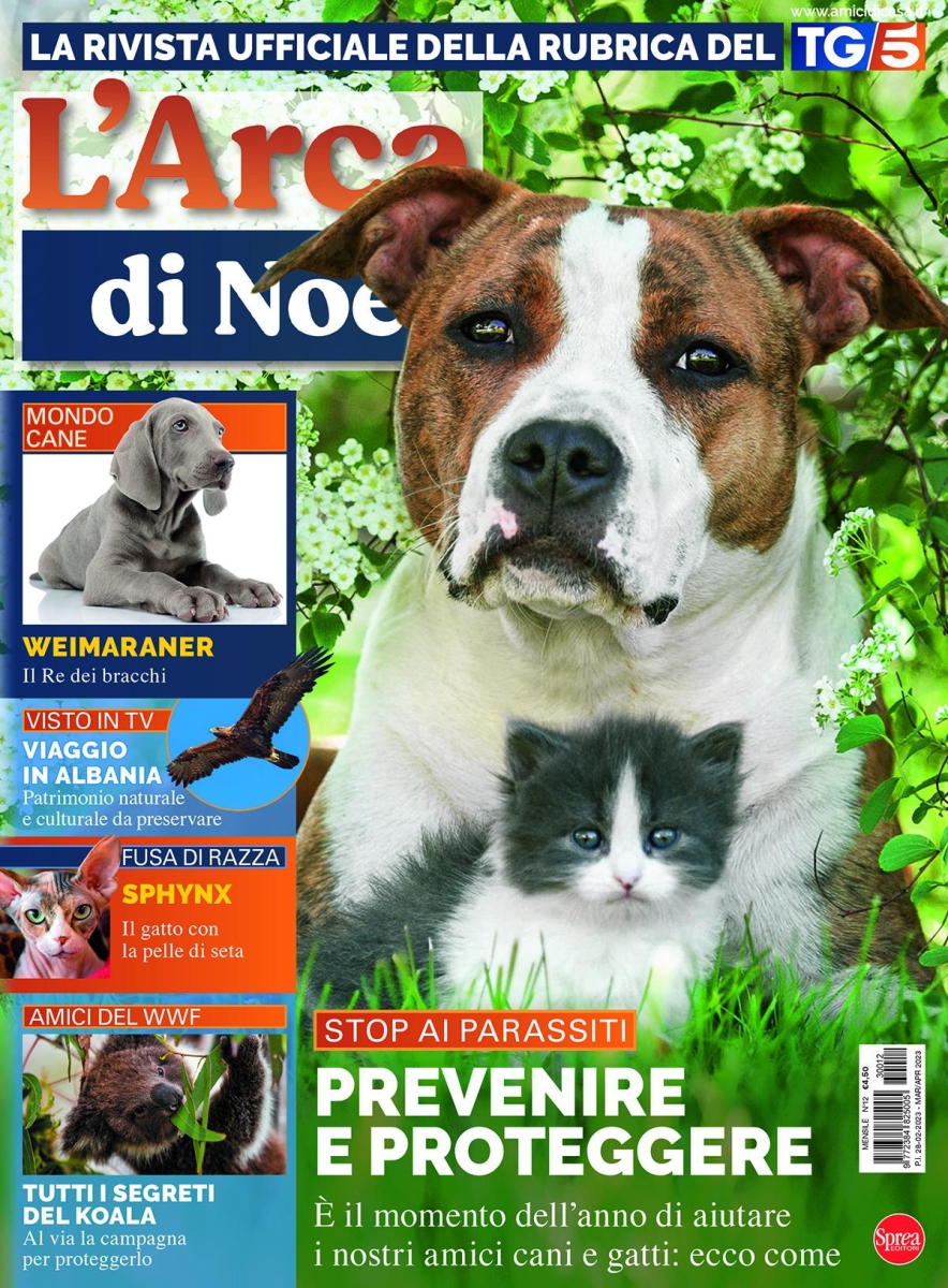 Copertina L Arca di Noe n.12