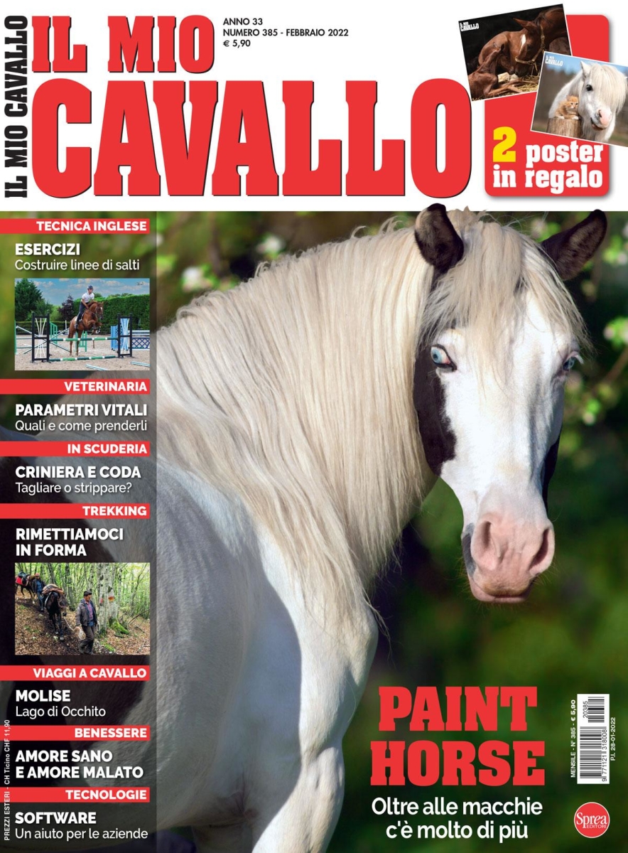 Copertina Il Mio Cavallo n.385