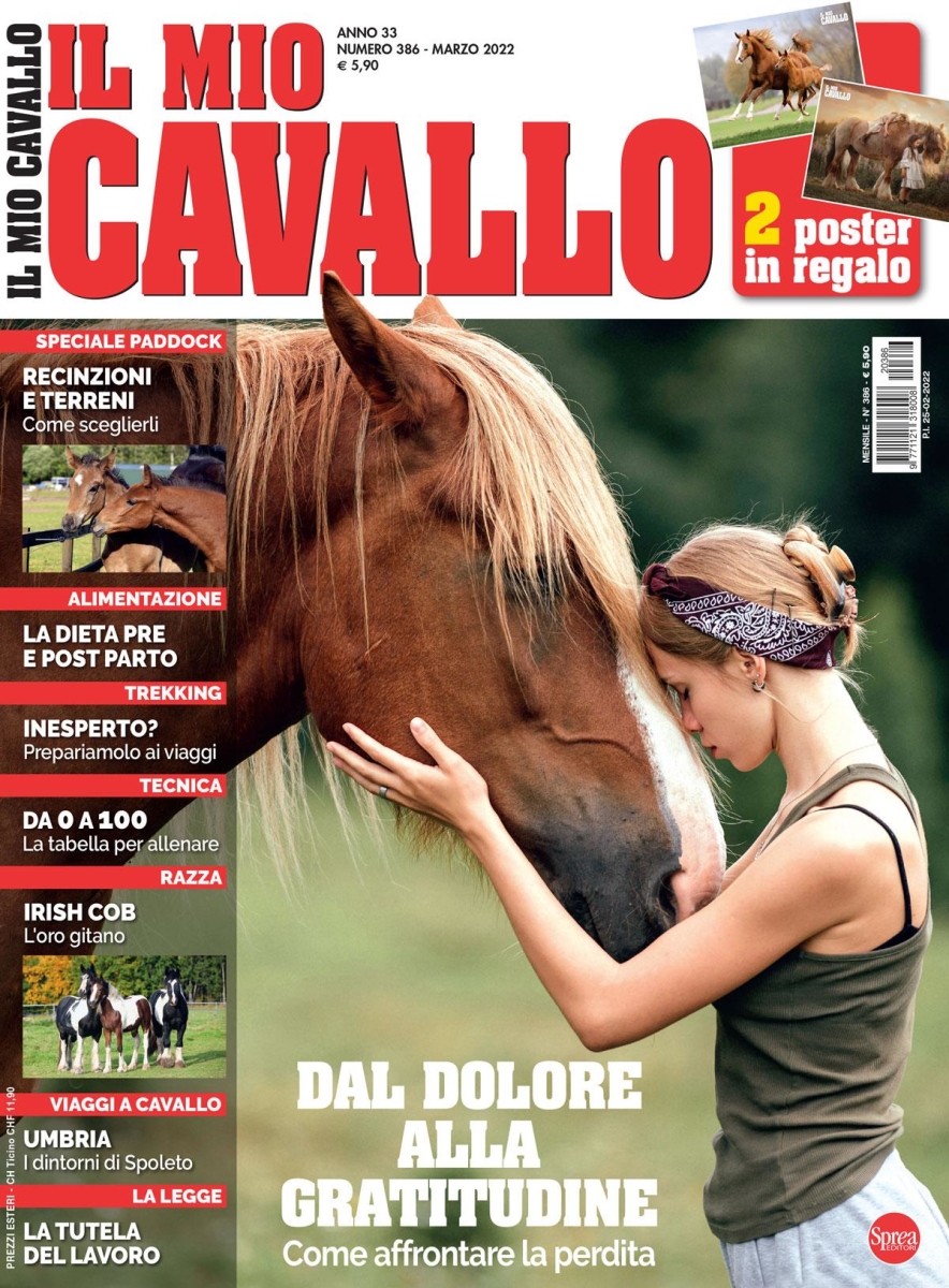 Copertina Il Mio Cavallo n.386