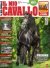 Il Mio Cavallo n.388