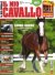 Il Mio Cavallo n.389