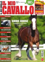 Copertina rivista Il Mio Cavallo