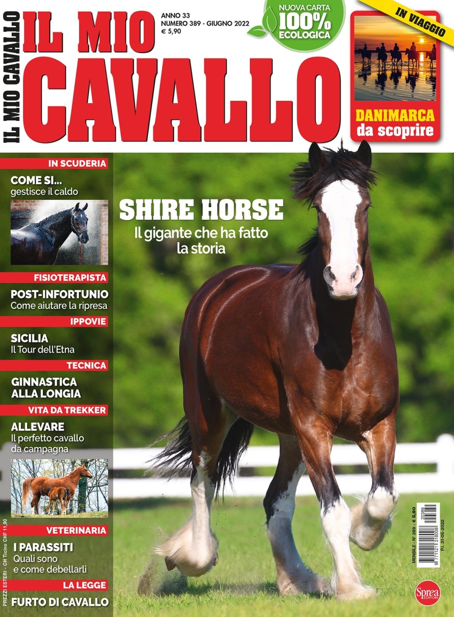 Copertina Il Mio Cavallo n.389