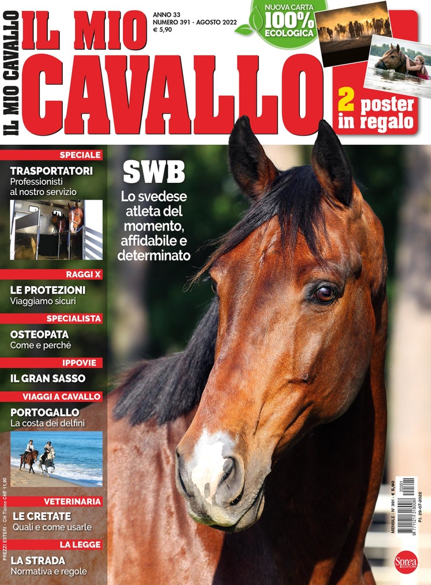 Copertina Il Mio Cavallo n.391