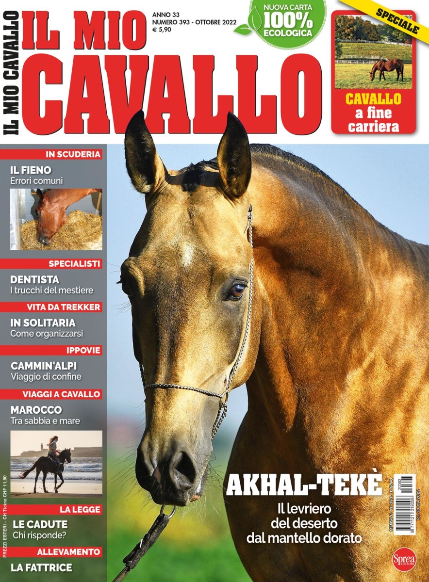 Copertina Il Mio Cavallo n.393