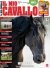 Il Mio Cavallo n.394