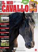 Copertina rivista Il Mio Cavallo
