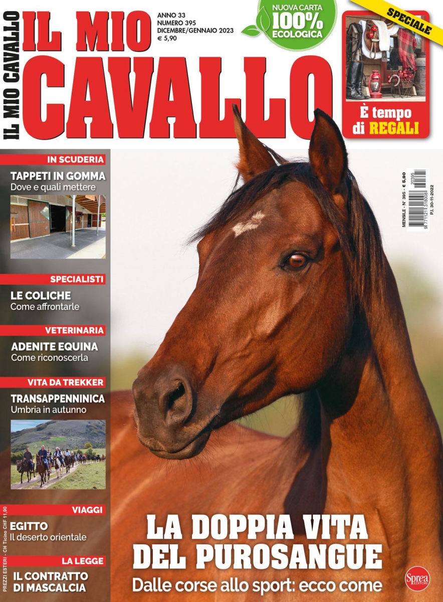 Copertina Il Mio Cavallo n.395