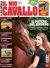 Il Mio Cavallo n.399