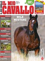 Il Mio Cavallo n.401