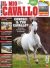 Il Mio Cavallo n.405