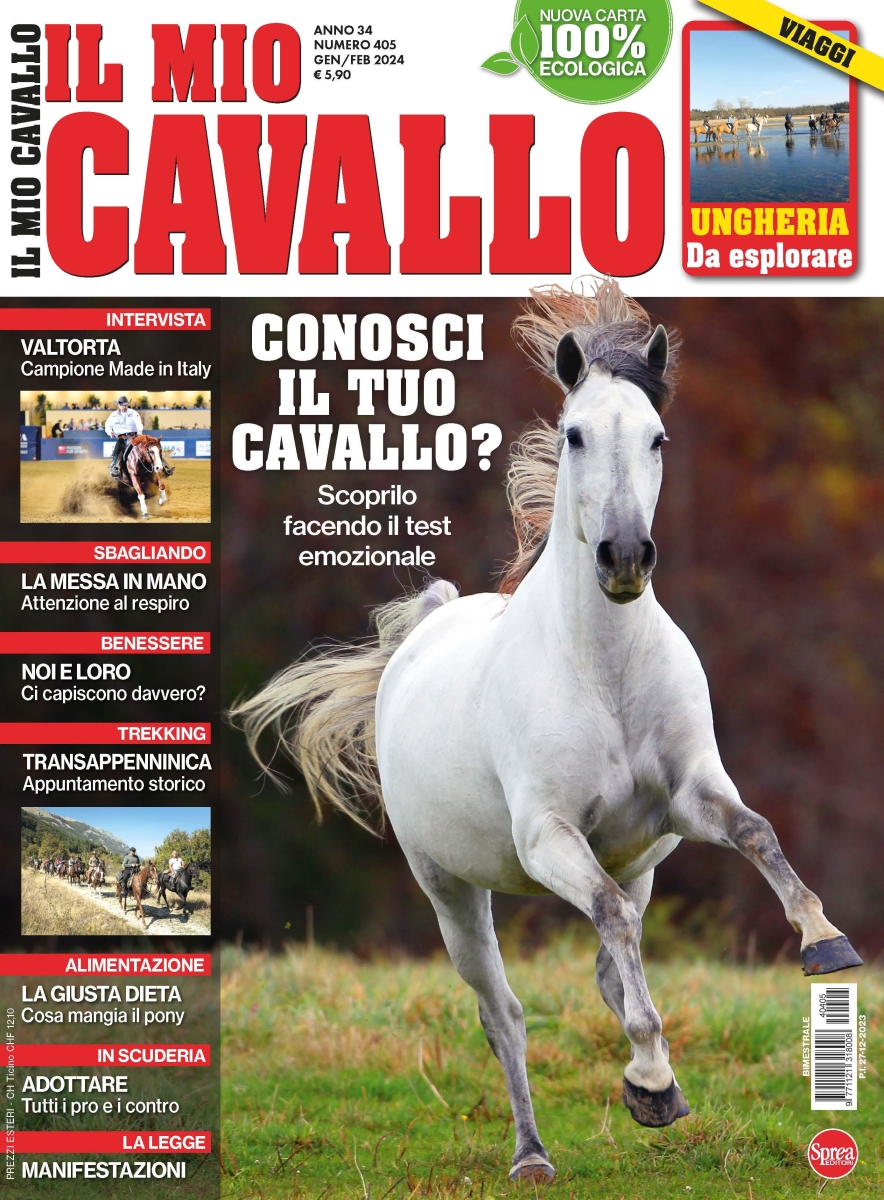 Copertina Il Mio Cavallo n.405