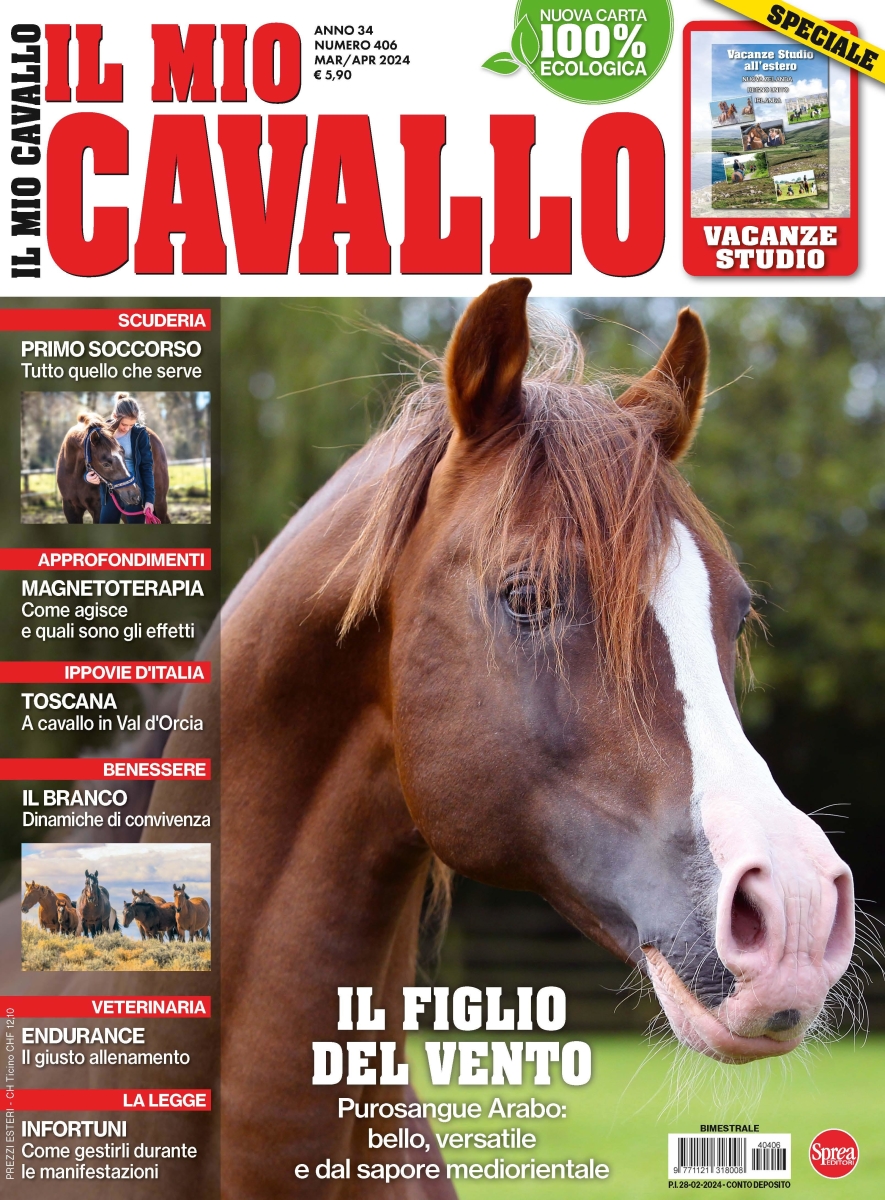 Copertina Il Mio Cavallo n.406