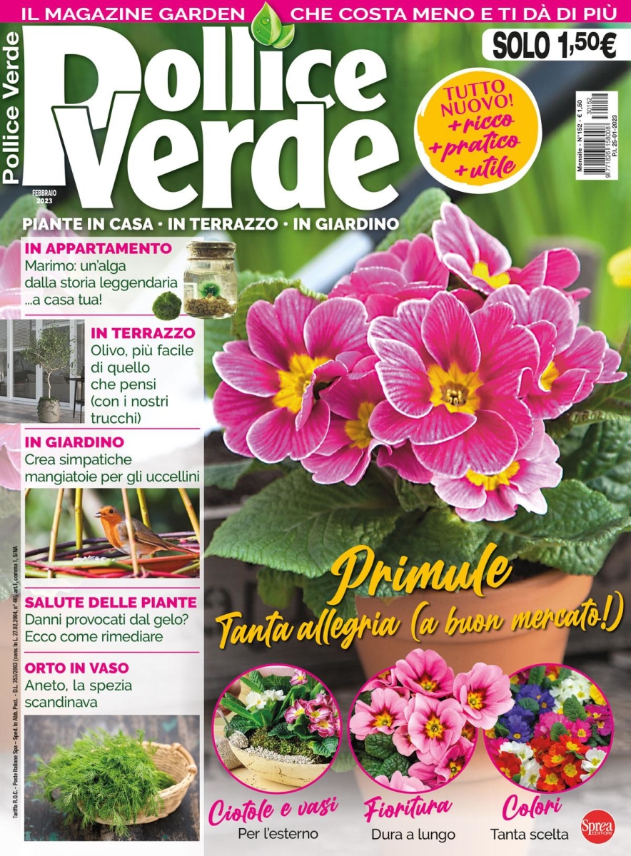 Copertina Pollice Verde n.152