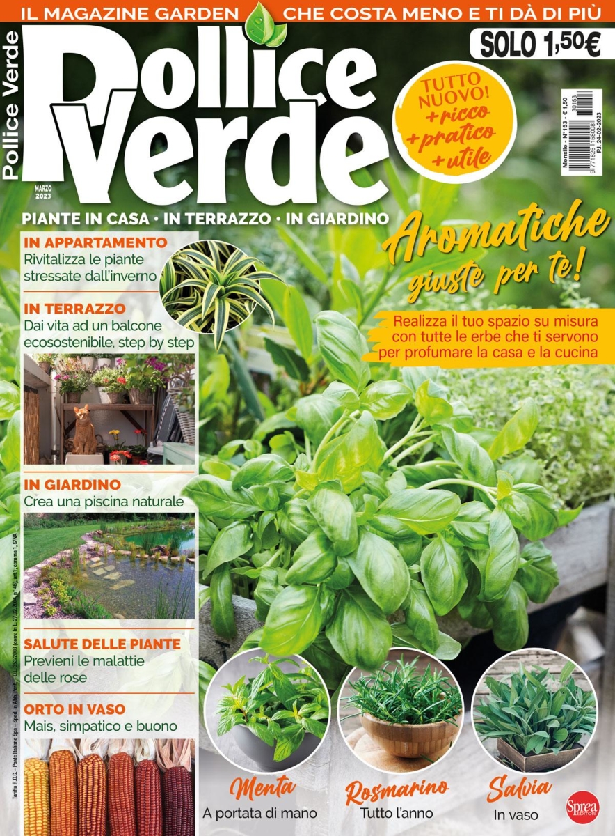 Copertina Pollice Verde n.153