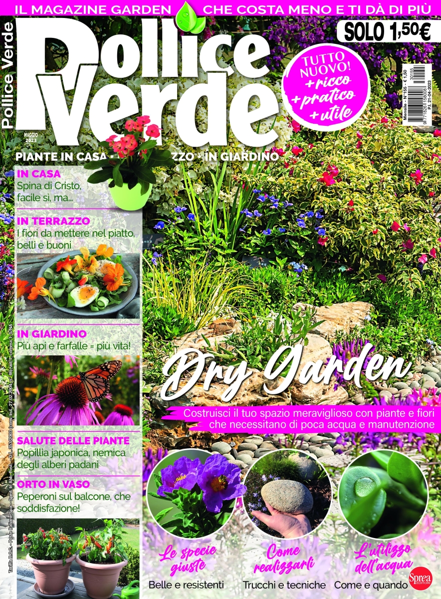 Copertina Pollice Verde n.155