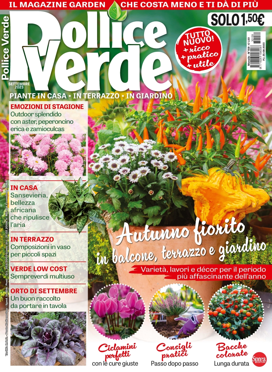 Copertina Pollice Verde n.159