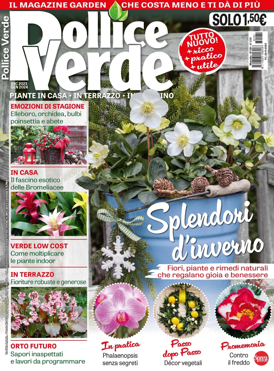 Copertina Pollice Verde n.161