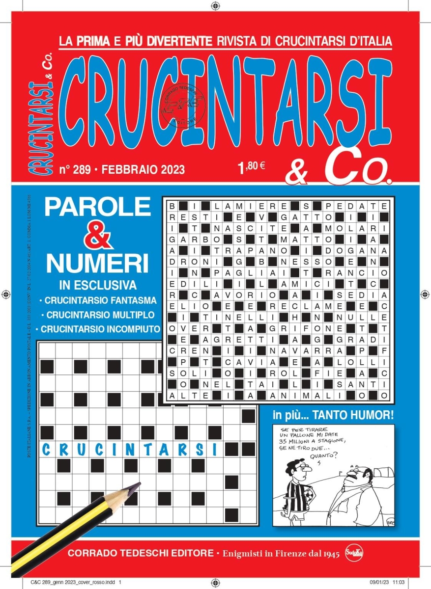 Copertina Crucintarsi & Co n.289