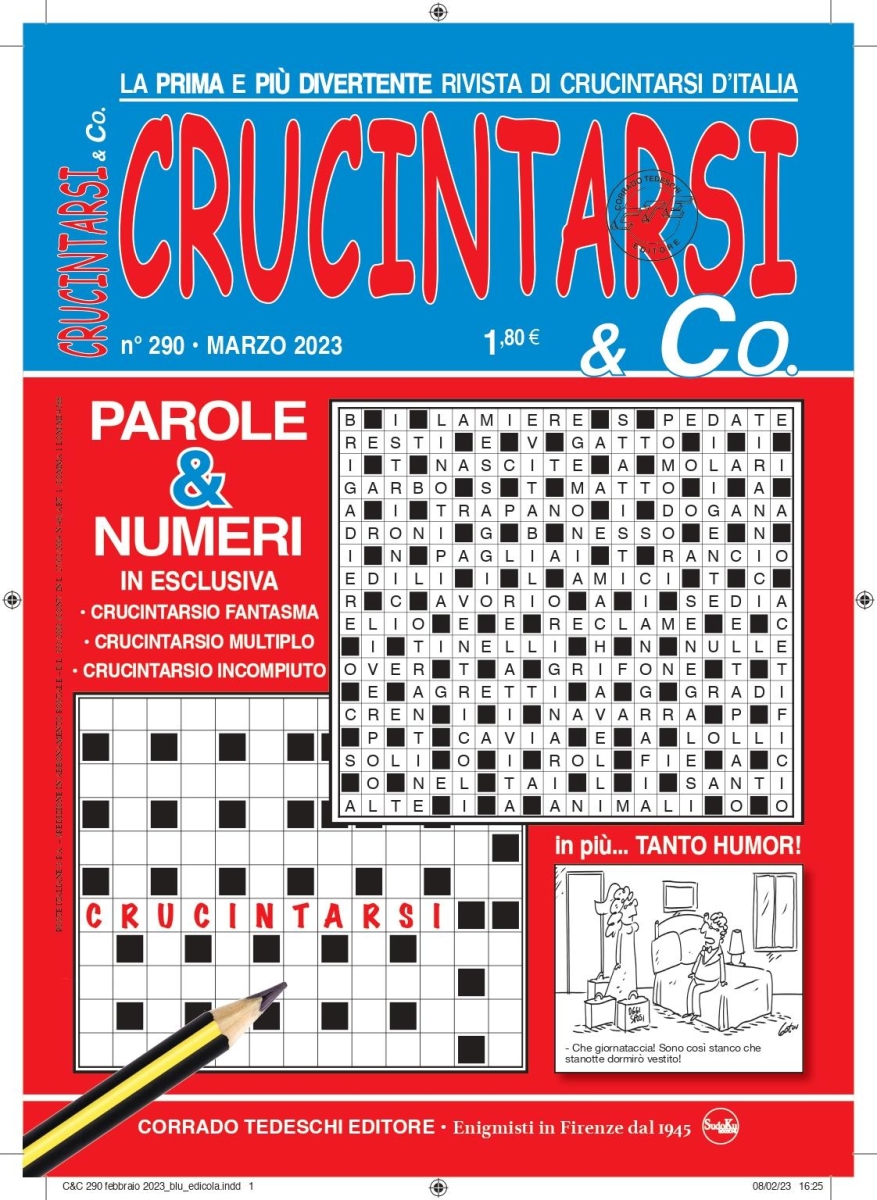 Copertina Crucintarsi & Co n.290