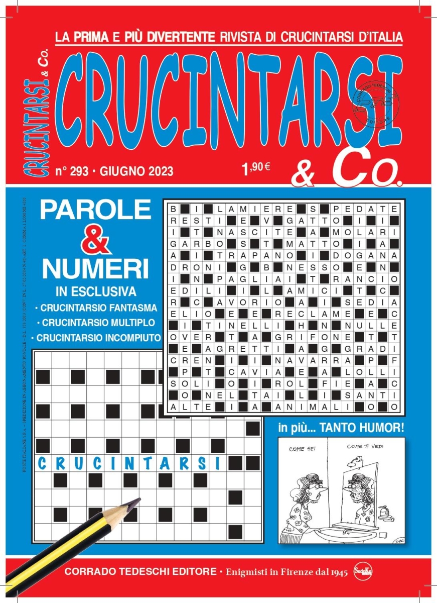 Copertina Crucintarsi & Co n.293